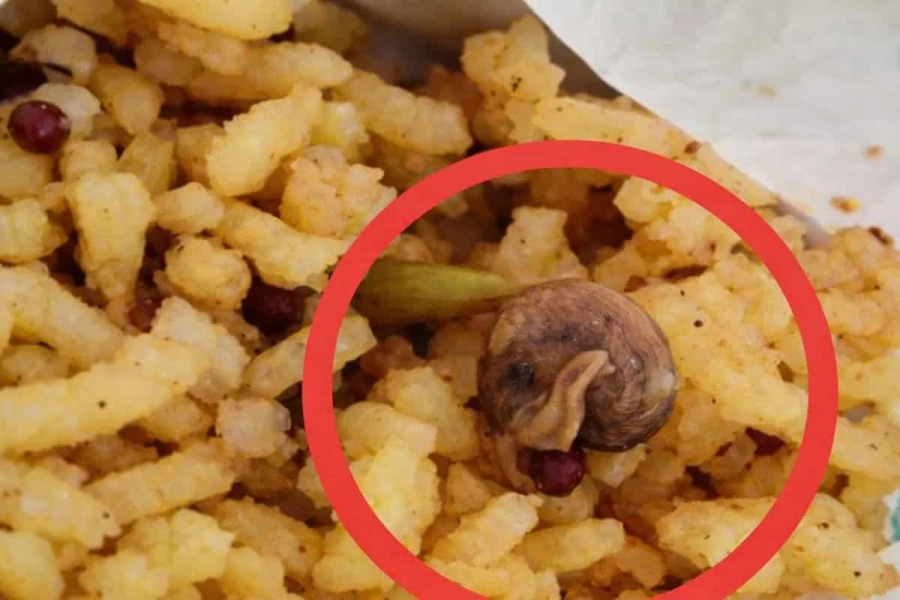 A small snail was found in the prasad of the temple! A couple took a video and posted it on social media.