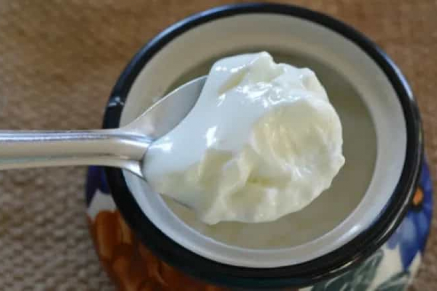 As winter approaches, a common saying comes up in many homes: eating curd (dahi/yogurt) makes you feel cold and increases your cold and cough!