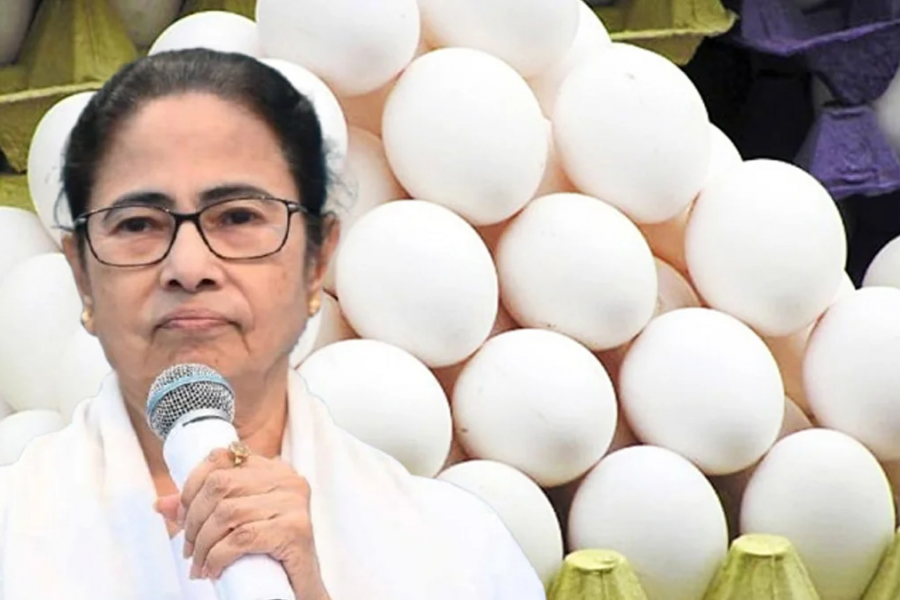 It's going up and up, there's no stopping it. Since the beginning of November, as the winter mood has been increasing, the price of eggs has also been gradually increasing.