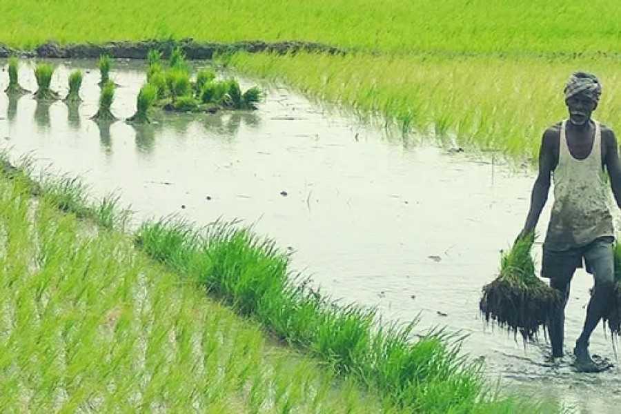 ভোটমুখী বঙ্গে প্রতিশ্রুতির বন্যা। কৃষক, শ্রমিক ও গ্রামবাংলার উন্নয়ন নিয়ে একের পর এক আশ্বাস শোনা যাচ্ছে রাজনৈতিক মহলে। তবে বাস্তবের ছবিটা যে সব জায়গায় এক নয়, সেই অভিযোগই উঠছে মালদার একাংশে। আদিবাসী ও রাজবংশী সম্প্রদায়ের একাংশের দাবি, এখনও একাধিক সরকারি সুবিধা থেকে বঞ্চিত তাঁরা।