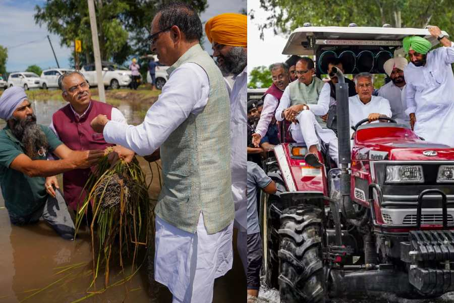 Punjab Flood