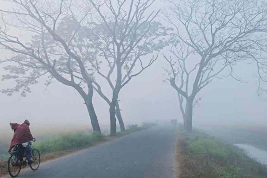 Weather:-কালীপুজোয়-কি-জাঁকিয়ে-শীতেরই-পূর্বাভাস?-পশ্চিমাঞ্চলে-পারদ-এখনই-কুড়ির-নীচে