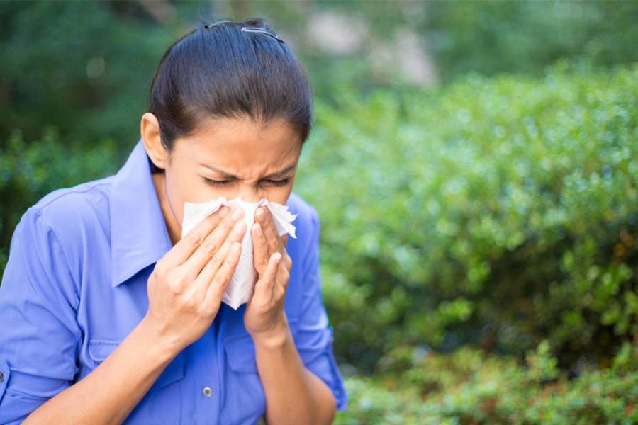 Is your home a safe haven for you, or a hidden empire of dust? Dust allergy (allergy caused by dust mites) is a common problem for many, which can make life miserable.