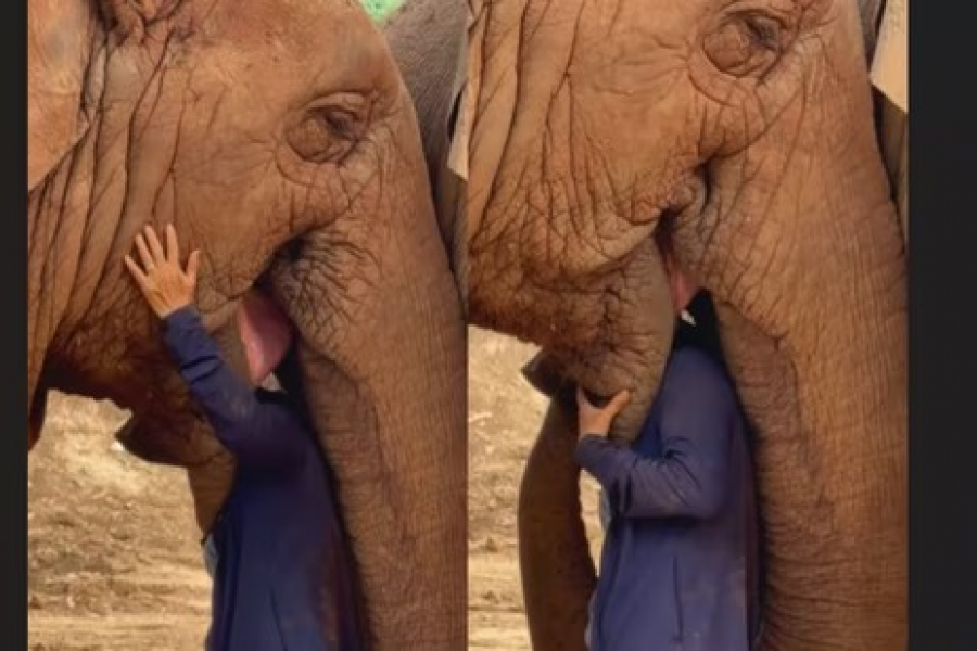He hugged me gently in response to my favorite song! Smile behind my trunk