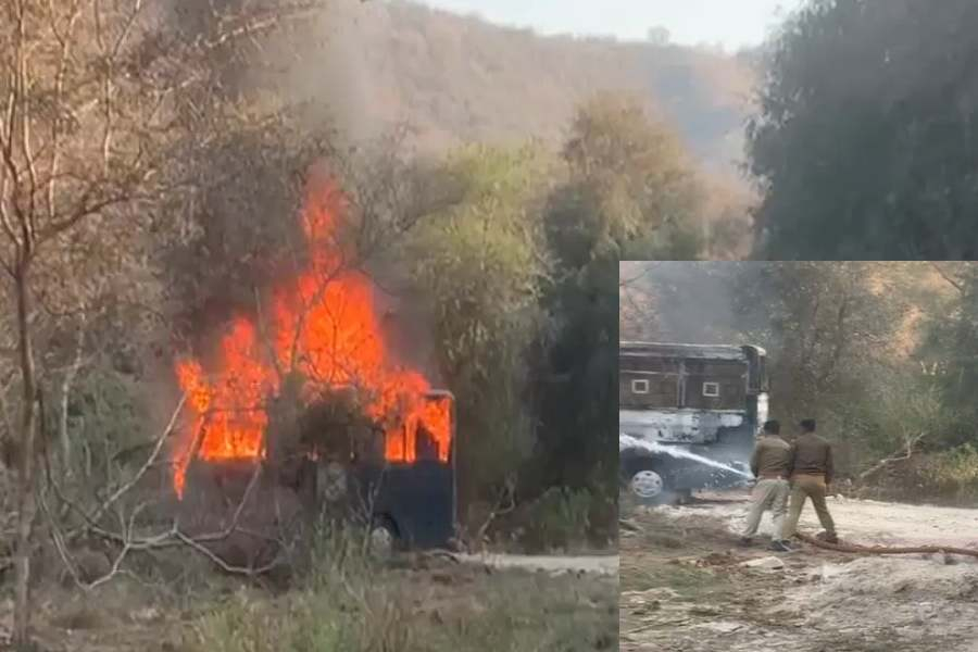 Nahargarh Biological Park,