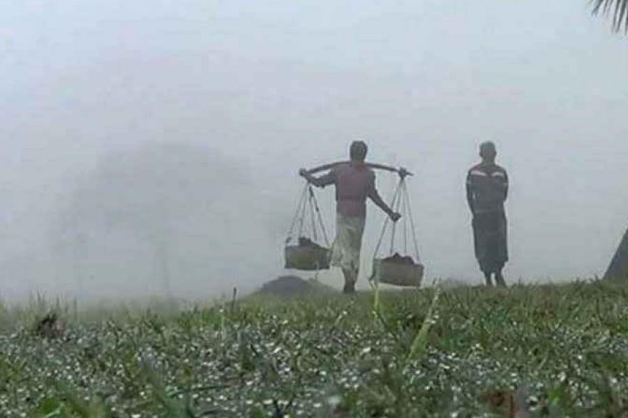 The last lap of the north wind. The temperature has been in the 14th degree for two consecutive nights.