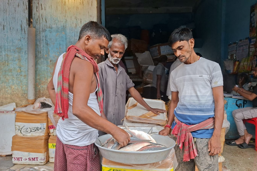 Despite the monsoon, Padma hilsa is not available in the market, leaving food lovers upset.