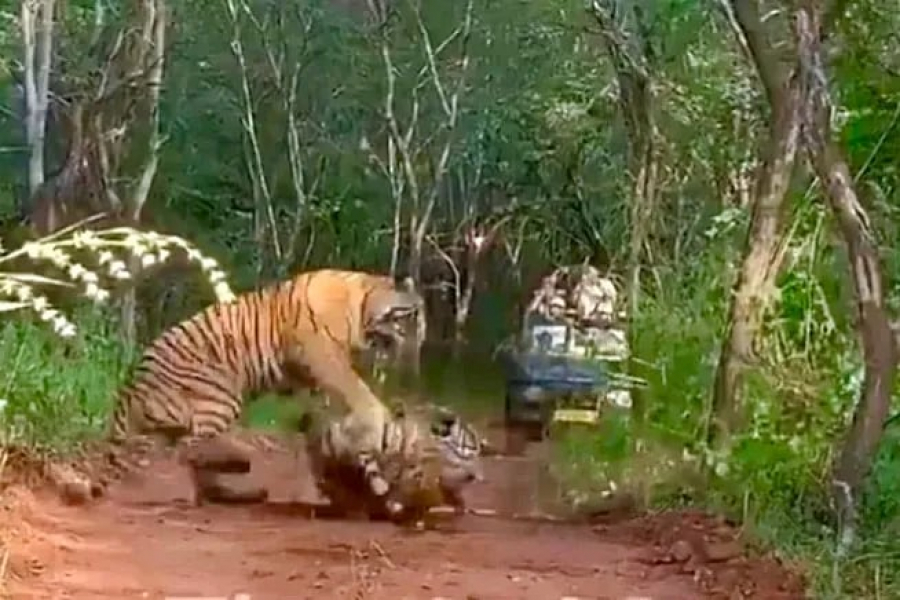 At first glance, it was a mother-daughter fight. That too over immovable property.