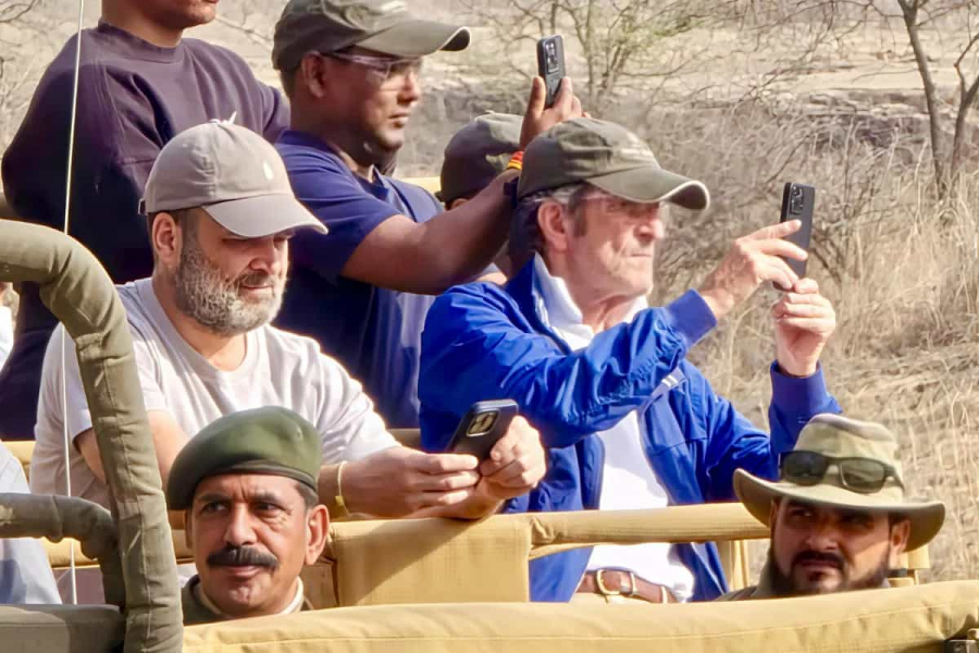 The BJP on Sunday took a dig at Congress leader Rahul Gandhi for his jungle safari in Madhya Pradesh while B