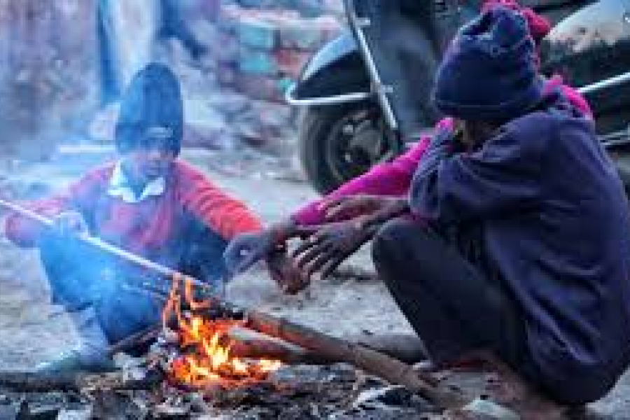 Fog prevailed since morning. But not for long, at 8 o'clock the sun was shining brightly, the 'representative of winter' disappeared.