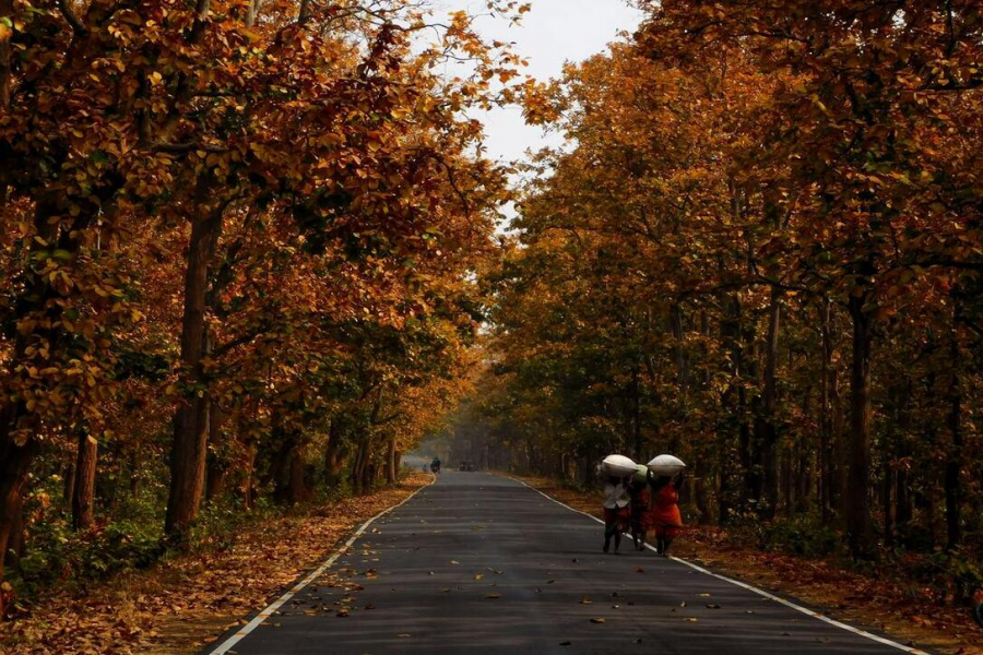 JHARGRAM-WESTBENGAL-BRIDGE-PEOPLE-SANAKRAIL