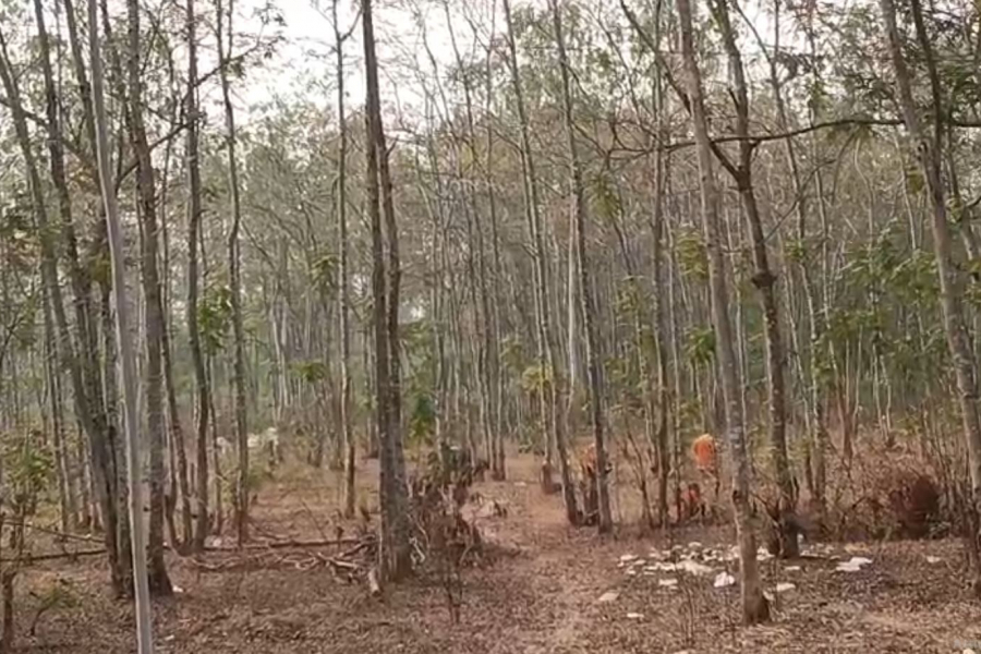 JHARGRAM-WESTBENGAL-JANGALKURCHI-PROBLEM-TENTION