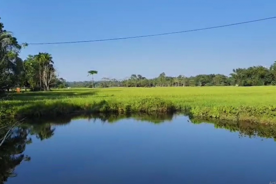 COOCHBEHAR-WESTBENGAL-PURNACHANDRABARMAN-TAKOYAMARI-VILLAGE