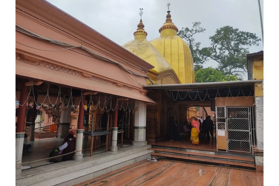 There is a gas crisis in places, from catering businesses to hotel food. Cooking gas is not available.