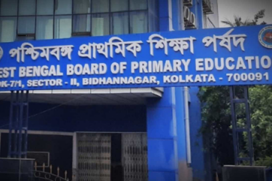 The Primary Education Board will verify documents! Why were more than two thousand job seekers excluded?
