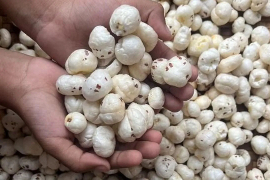 You're eating handfuls of Makhana, calling it a superfood, but who knows it's 'poison' for them?