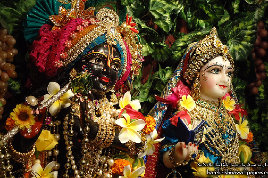 Krishna Janmashtami 2025: Do these infallible remedies on Krishna Janmashtami! Every wish of your heart will be fulfilled!