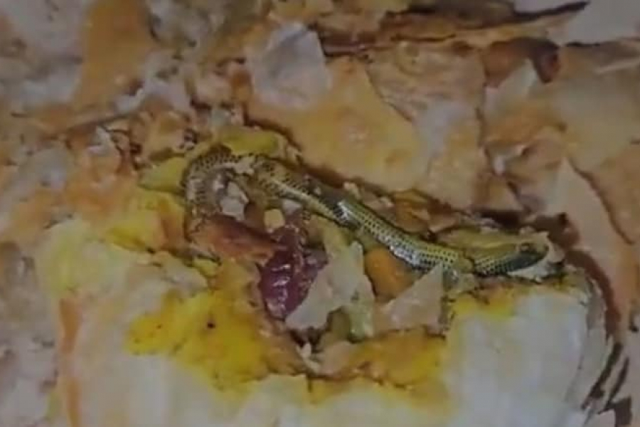 Woman files police complaint against bakery after finding snake inside snack bag