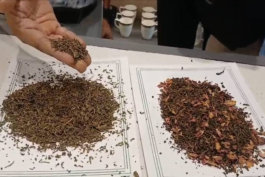 'Gold' mixed with tea, rose petals! One lakh tea bags are being made in Bengal