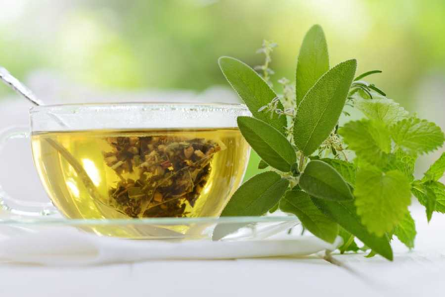 Green Tea