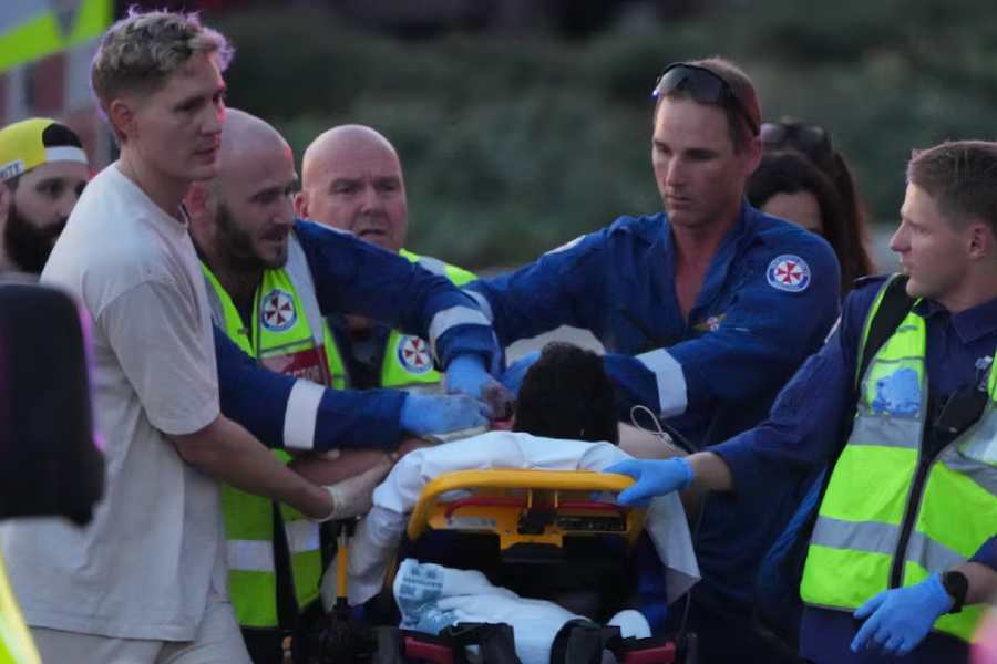 australia terror attack