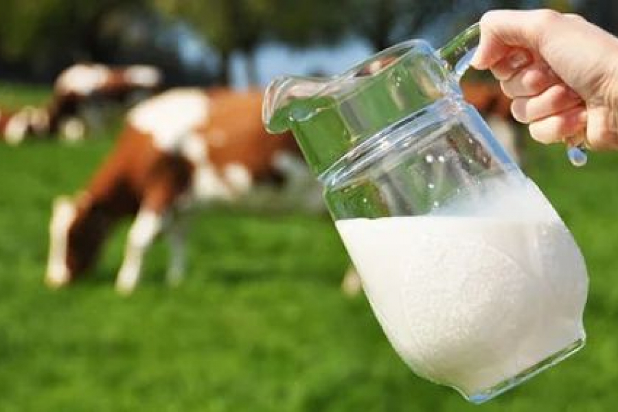 India took a step back regarding milk trade with America, what will be the next decision now