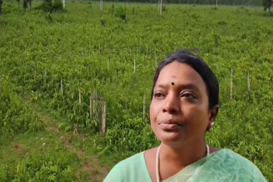 Allegations of forest department land sale in Jhargram! Forest Minister claims 'no news'