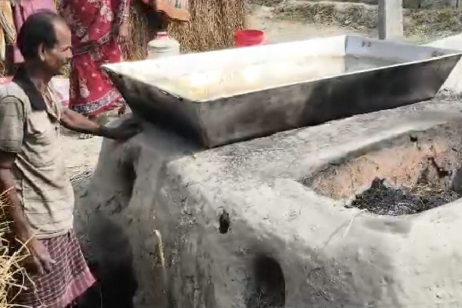 DOKKHIN24PARGANA-WESTBENGAL-DATES-SEASON-TREE