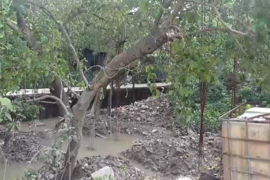 Illegal construction by cutting down mangrove forests! Ruling party in the dock in South 24 Parganas