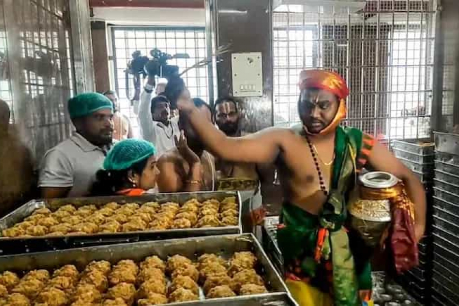 Tirumala Tirupati Devasthanams (TTV) is reeling under allegations of adulterated ghee in the prasad of Tirupati Balaji Temple.