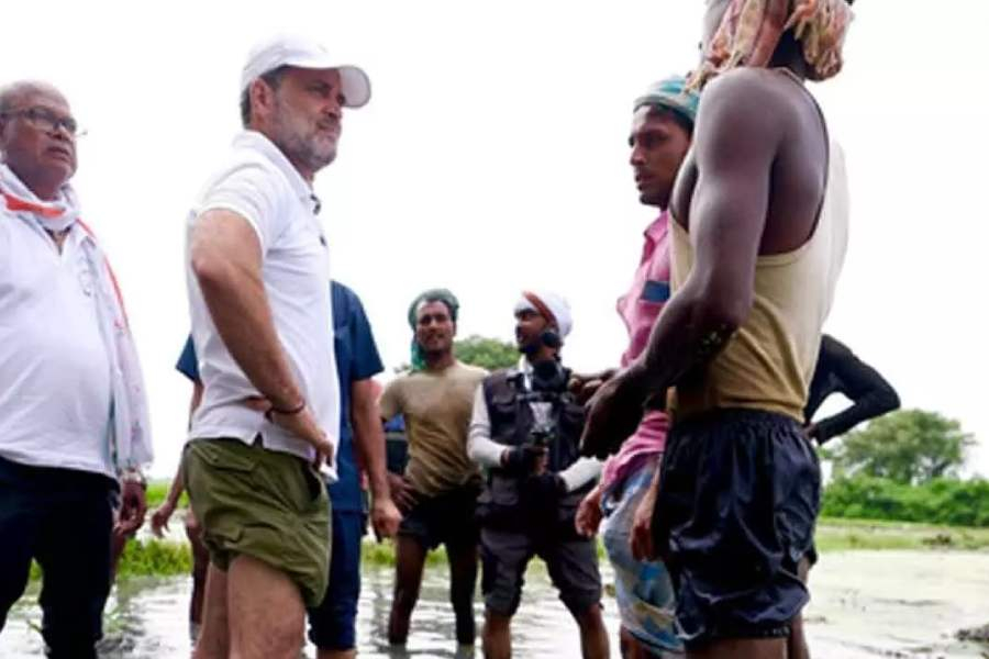 Rahul Gandhi