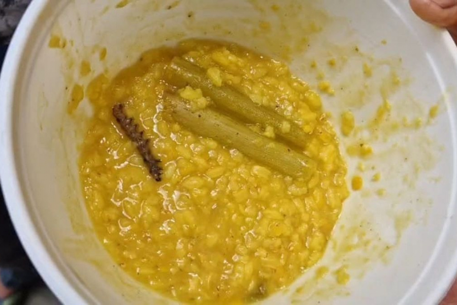 Caterpillars in khichdi at Anganwadi center! Angry parents, allegations of negligence