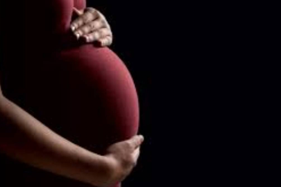 In the case of Diella, the word 'gestation' is used here not in a literal sense, but in a symbolic sense.