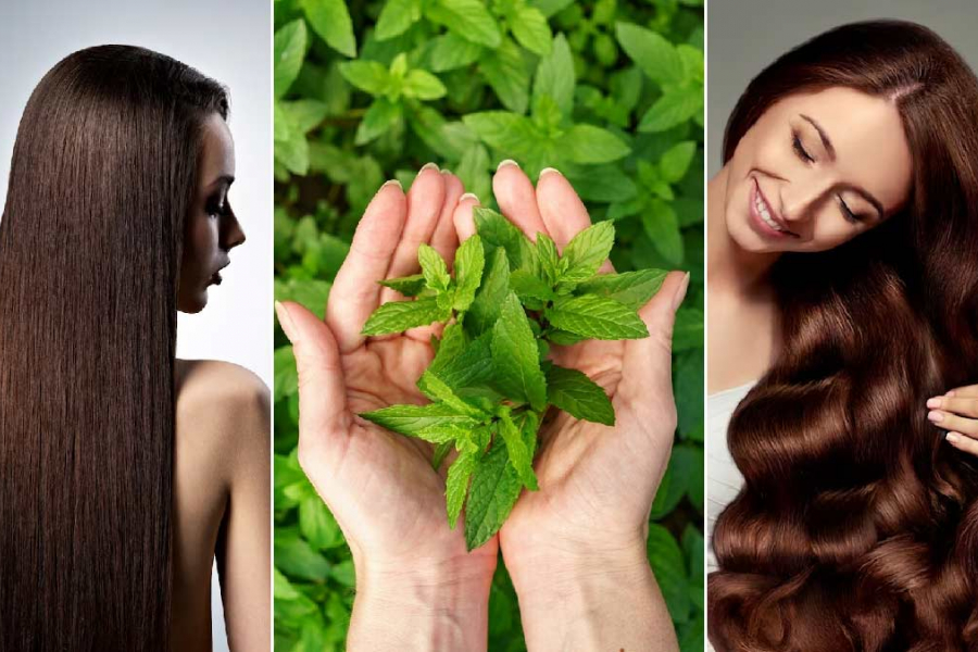  Monsoon Hair Care: Scalp remains sticky and full of dandruff? Make neem-tulsi hair rinse at home..