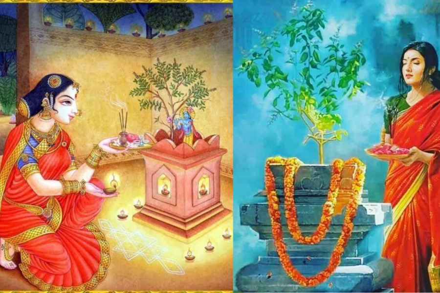 Why is it forbidden to touch the Tulsi plant on Sundays?