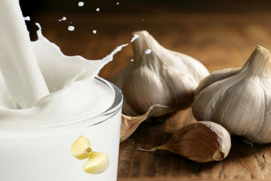Health tips: Garlic milk is a truly miraculous remedy, and you'll be amazed when you hear about its benefits.
